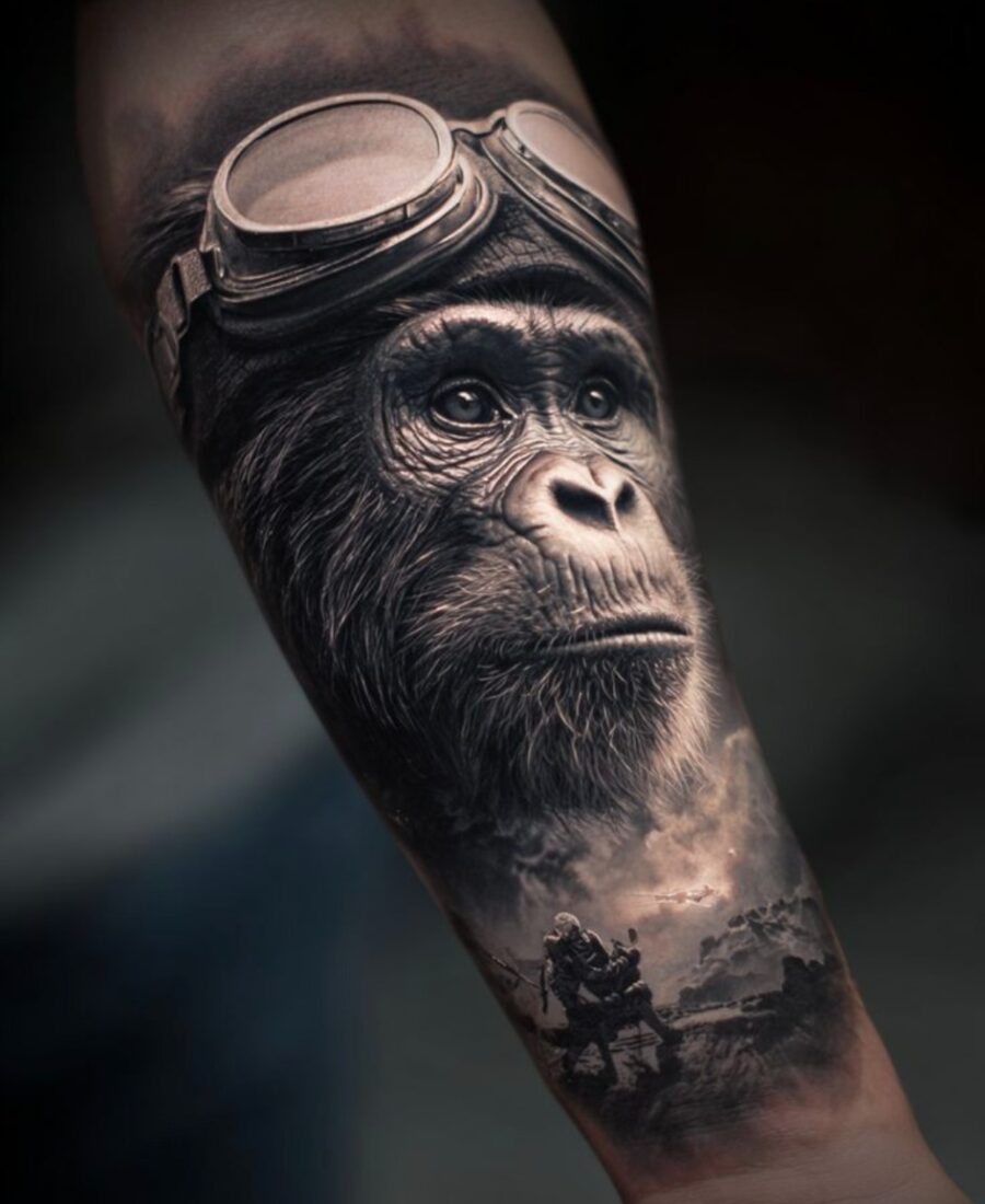 L’Explorateur
